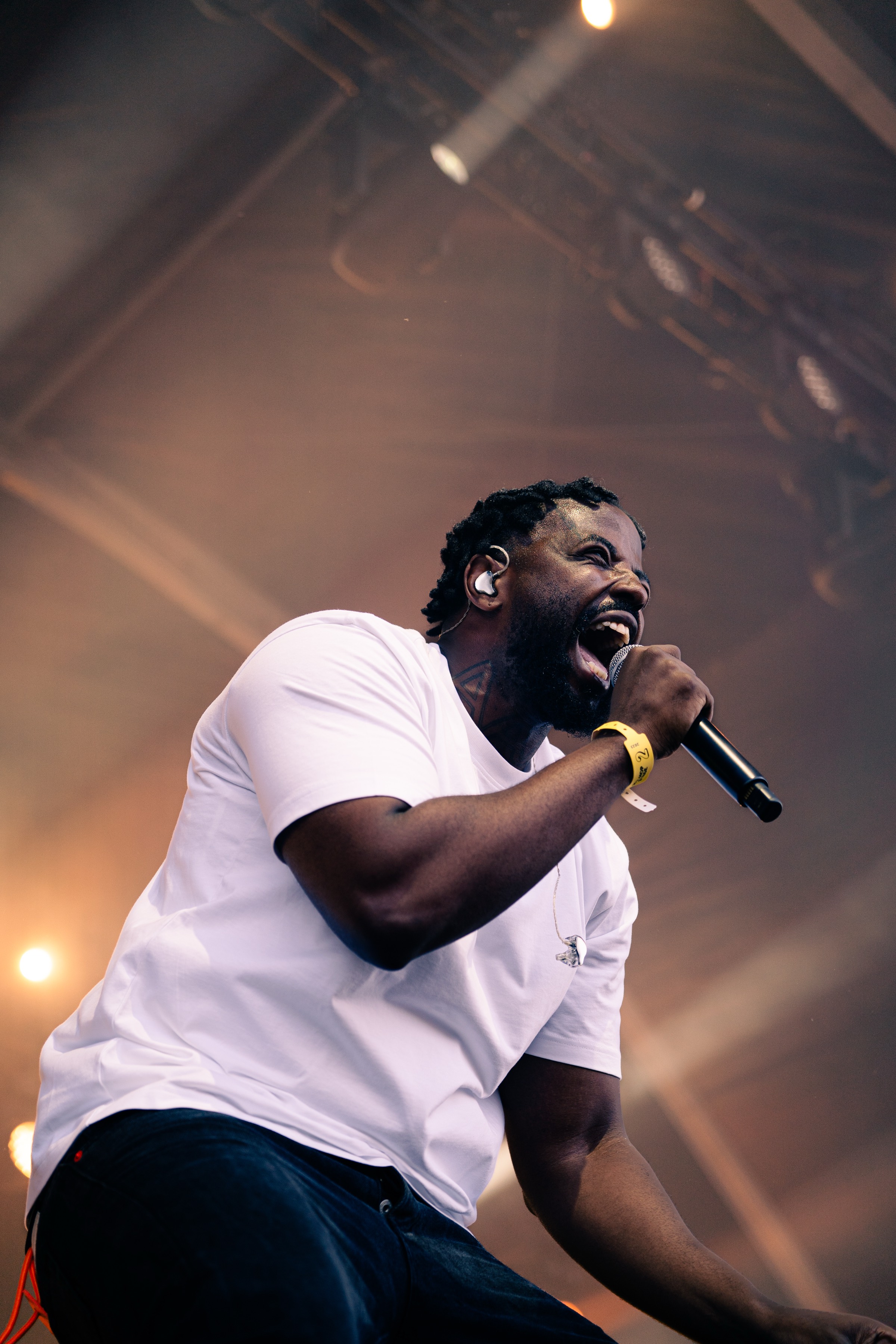 Lollapalooza